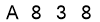 salt-884A7458