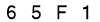 salt-13D4F975
