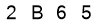 salt-54B8EC2E